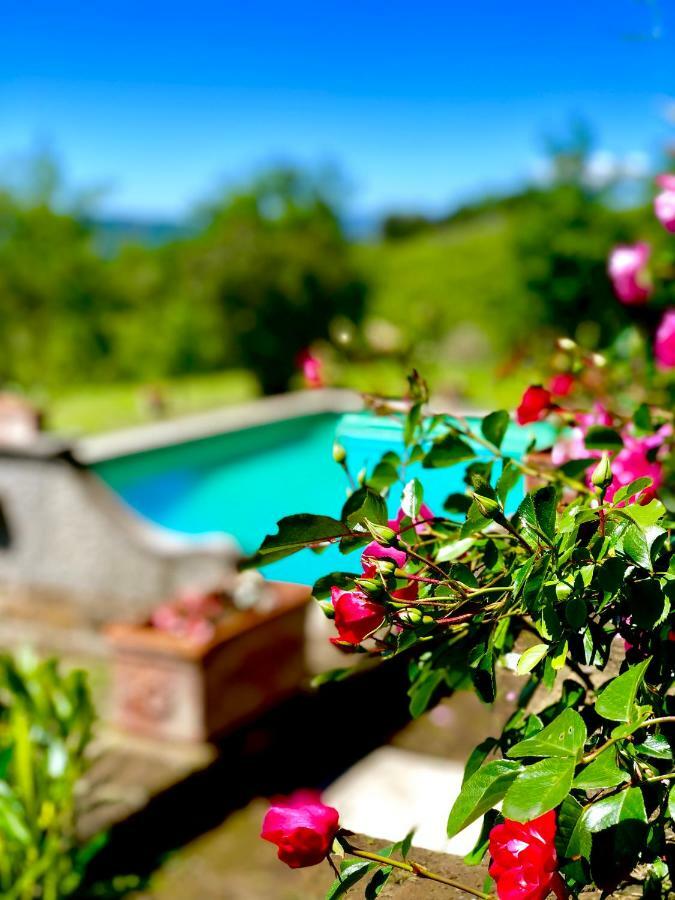 San Liberato Relais Tenuta Gentili מראה חיצוני תמונה